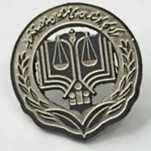 بج سینه نقره ای