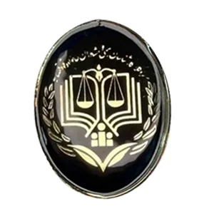 بج سینه پلی استری (2)